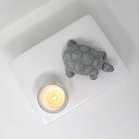 Schildkrötenurne