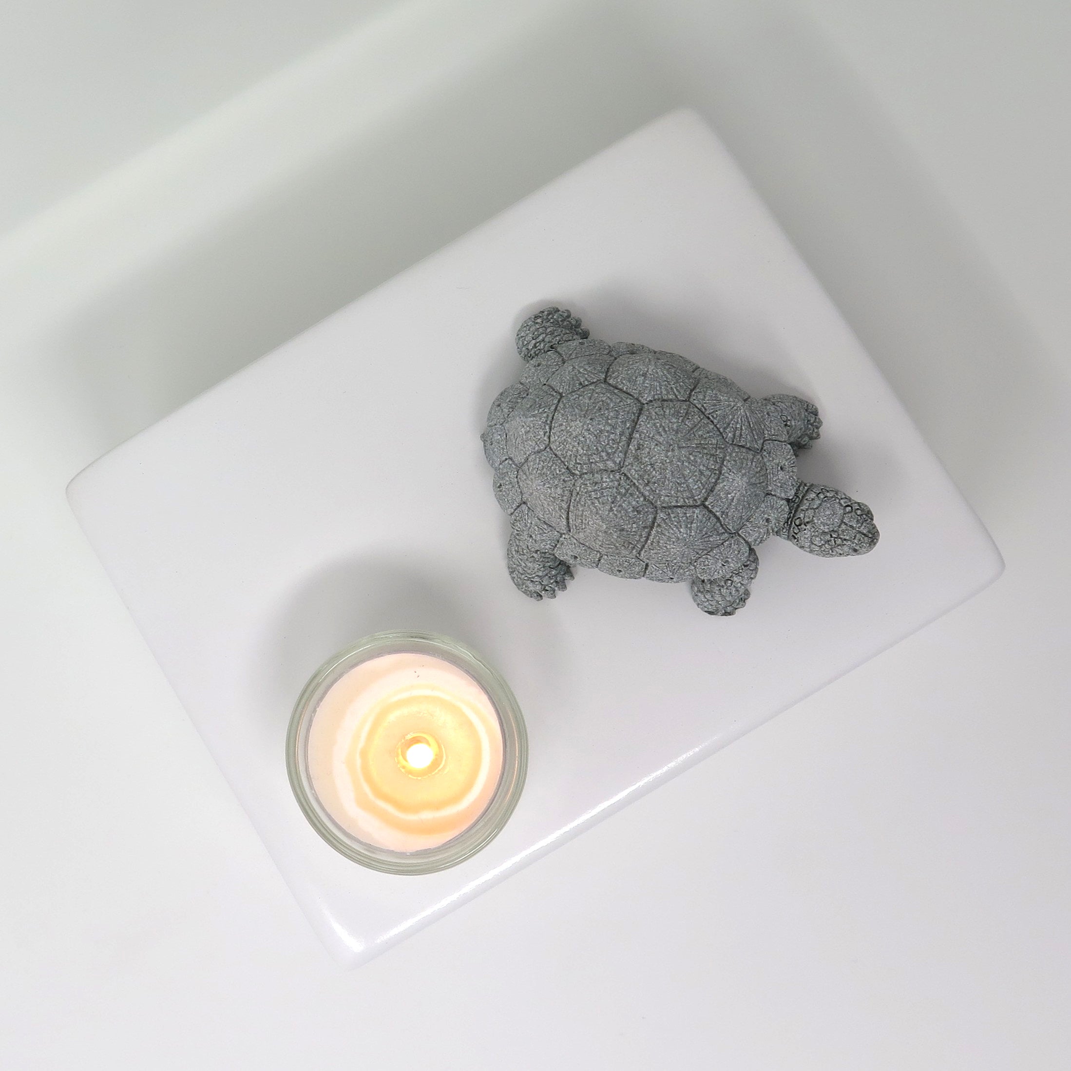 Schildkrötenurne
