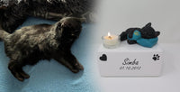 Katzenurne schlafende Katze auf Kissen mit Teelicht