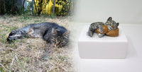 Katzenurne schlafende Katze auf Kissen Schwarz