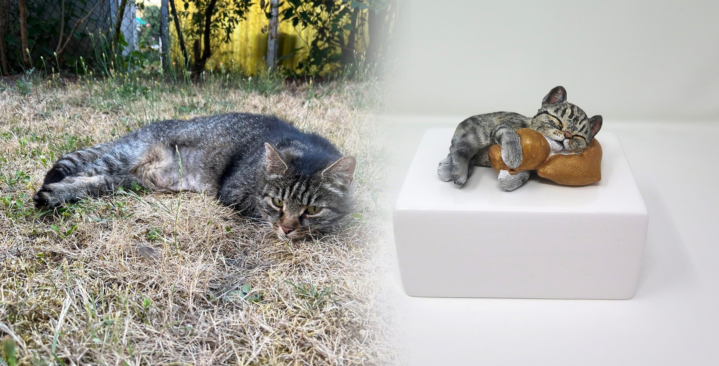 Katzenurne schlafende Katze auf Kissen Schwarz