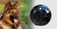 Hundeurne Hund im Licht auch mit Ihrem Hund Kugel