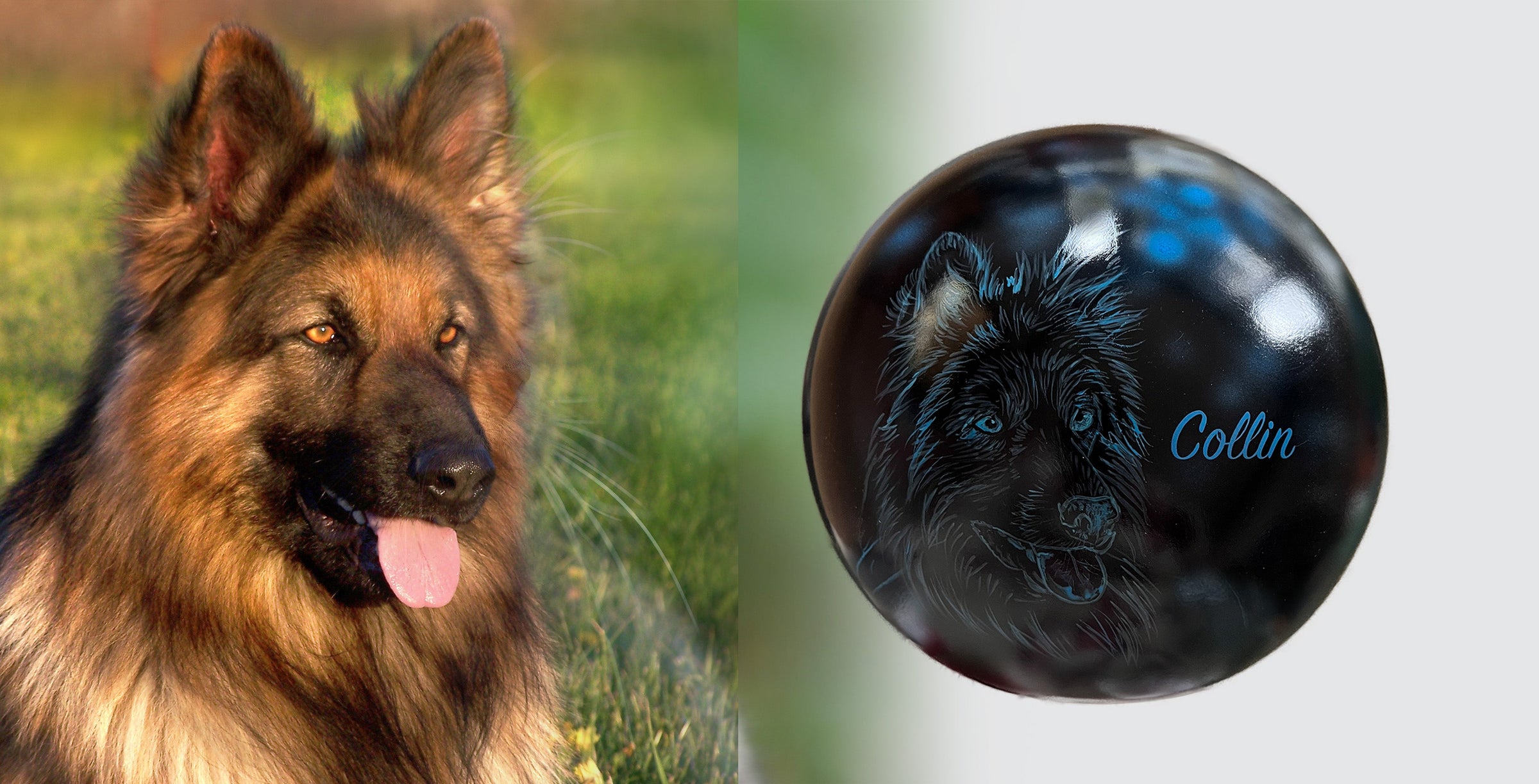 Hundeurne Hund im Licht auch mit Ihrem Hund Kugel