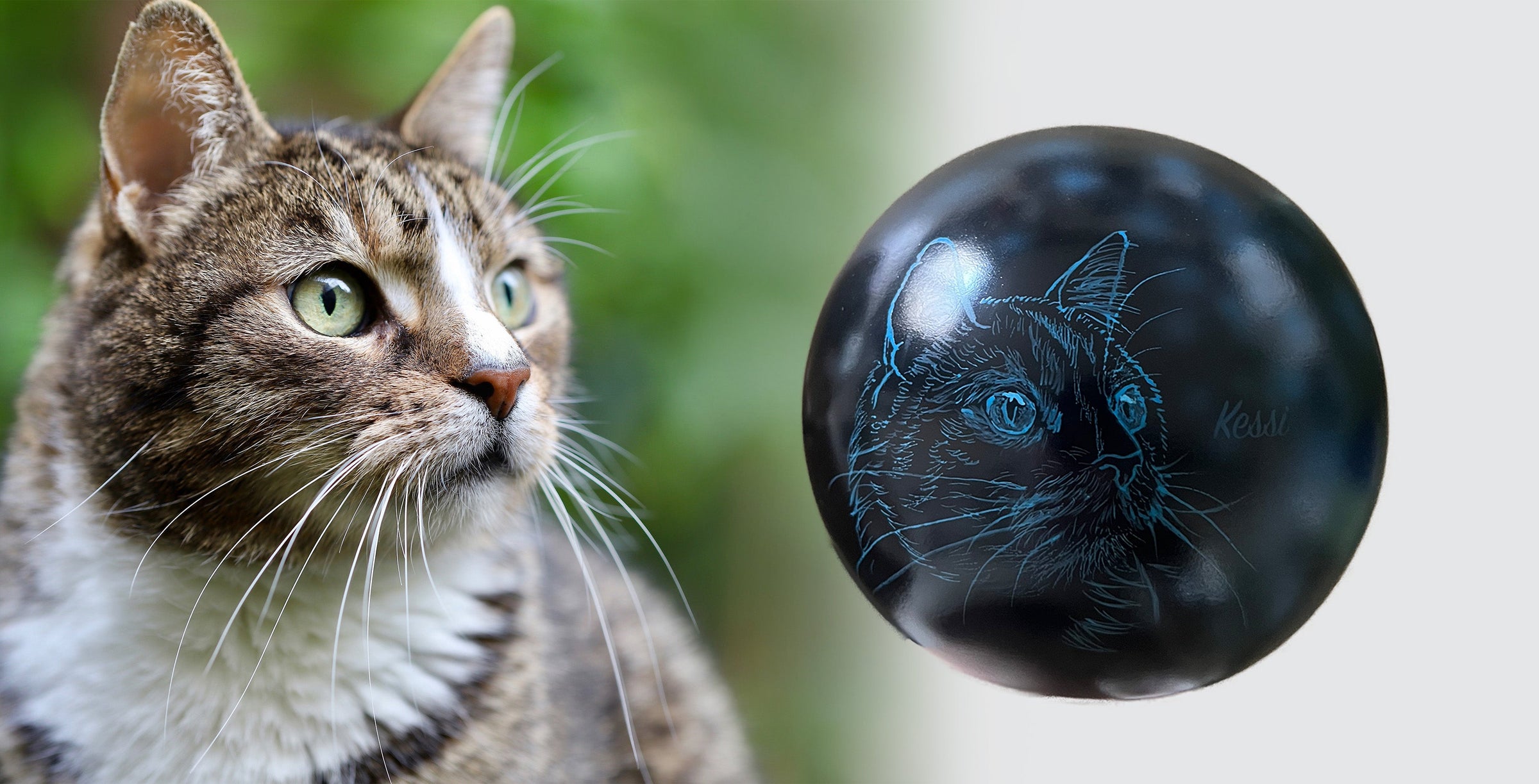 Katzenurne Katze im Licht auch mit Ihrer Katze Kugel
